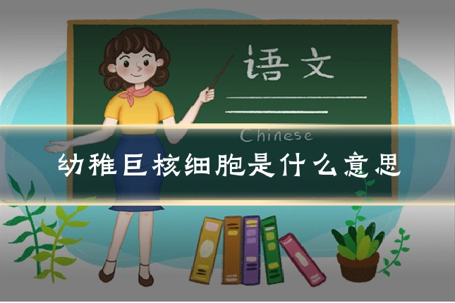 幼稚巨核细胞是什么意思