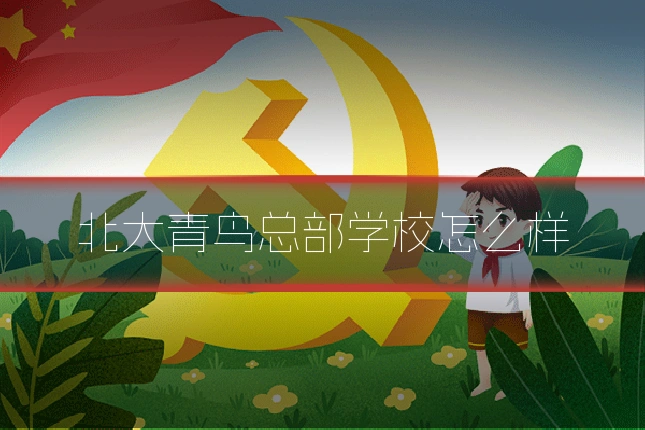 北大青鸟总部学校怎么样
