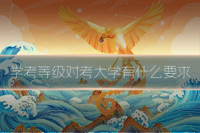 学考等级对考大学有什么要求