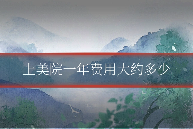上美院一年费用大约多少
