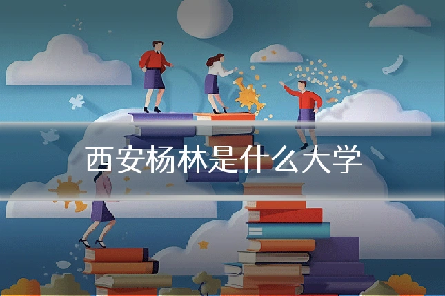 西安杨林是什么大学