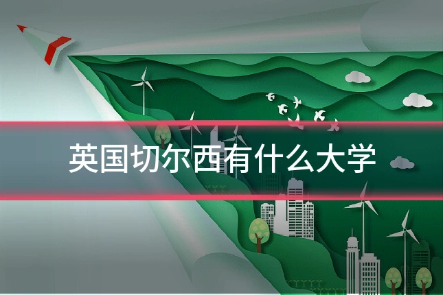 英国切尔西有什么大学