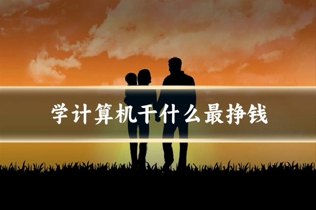 学计算机干什么最挣钱