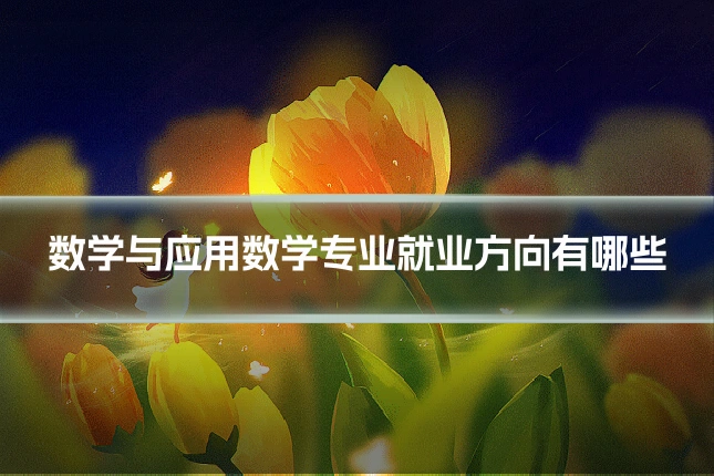 数学与应用数学专业就业方向有哪些