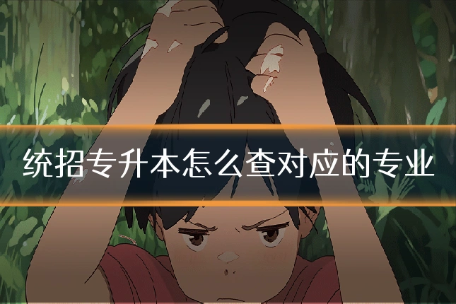 统招专升本怎么查对应的专业
