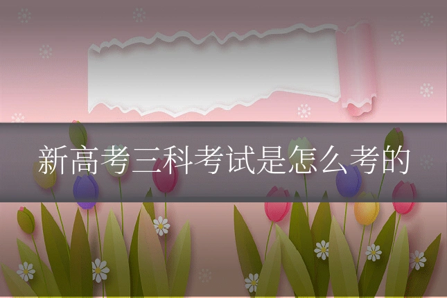 新高考三科考试是怎么考的