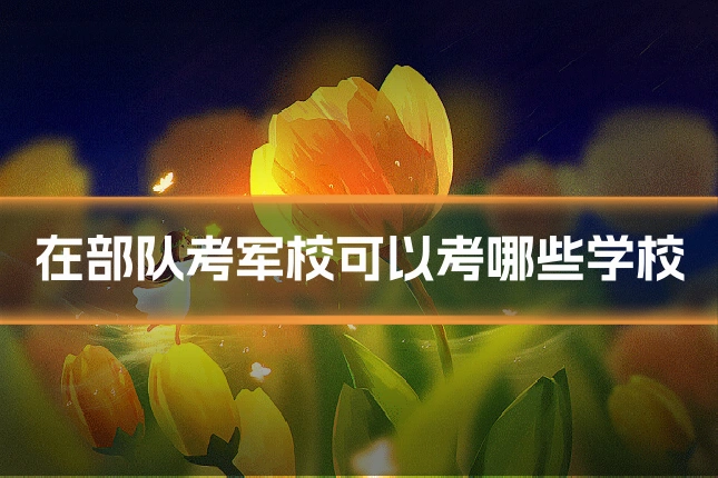 在部队考军校可以考哪些学校