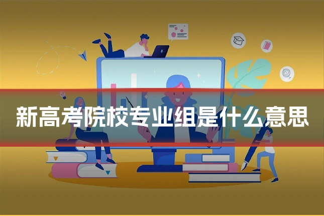 新高考院校专业组是什么意思