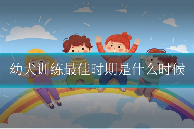 幼犬训练最佳时期是什么时候