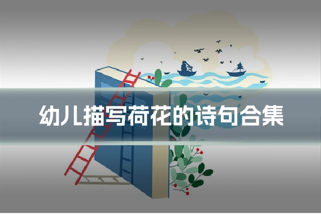 幼儿描写荷花的诗句合集