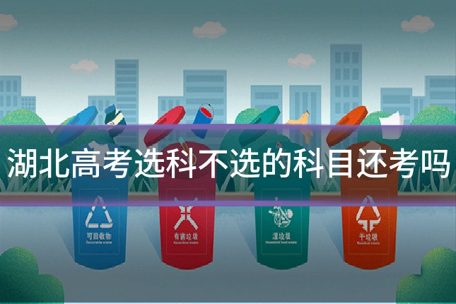 湖北高考选科不选的科目还考吗