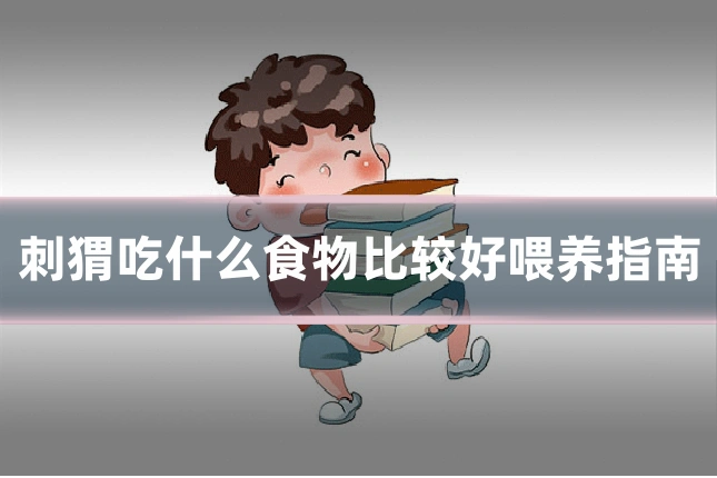 刺猬吃什么食物比较好喂养指南