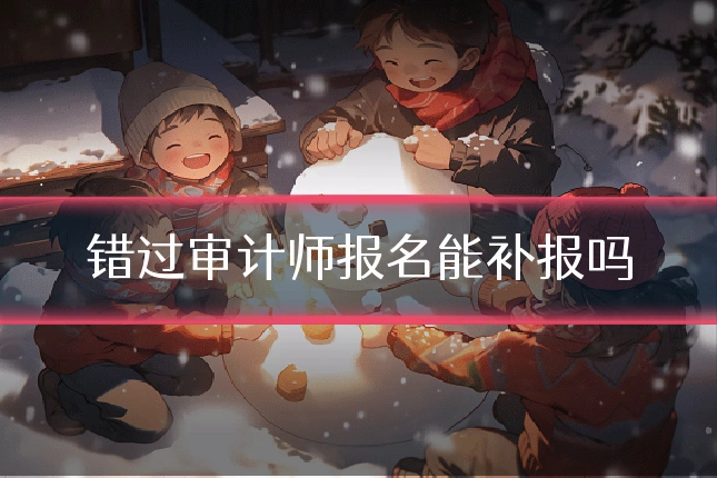 错过审计师报名能补报吗