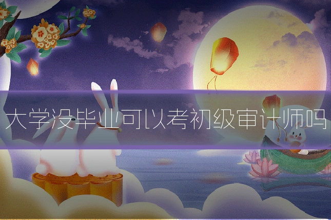 大学没毕业可以考初级审计师吗