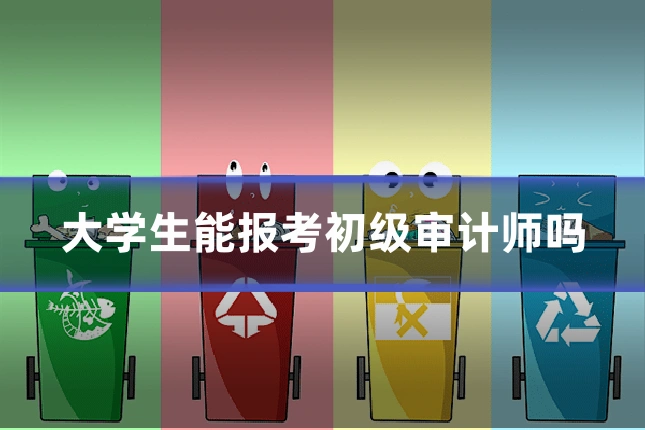 大学生能报考初级审计师吗