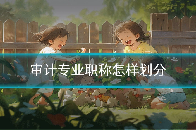 审计专业职称怎样划分