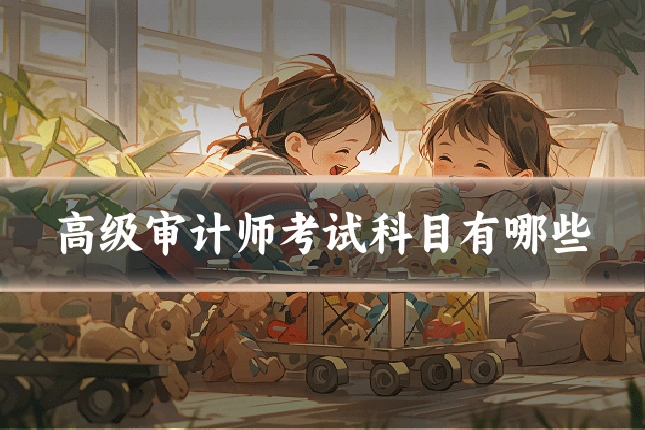 高级审计师考试科目有哪些