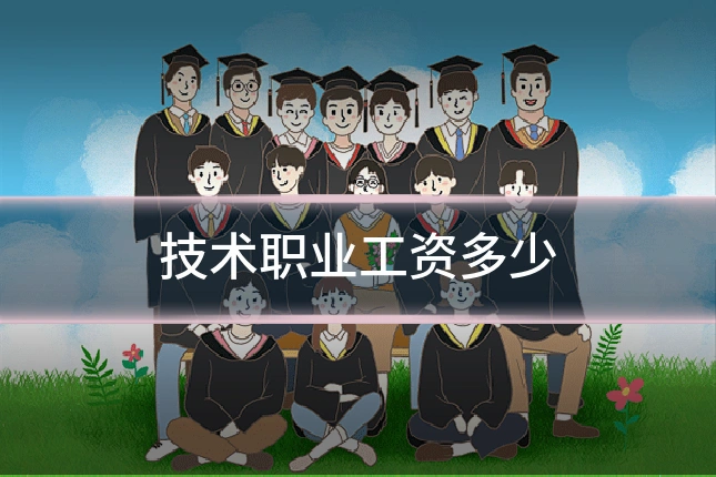 技术职业工资多少