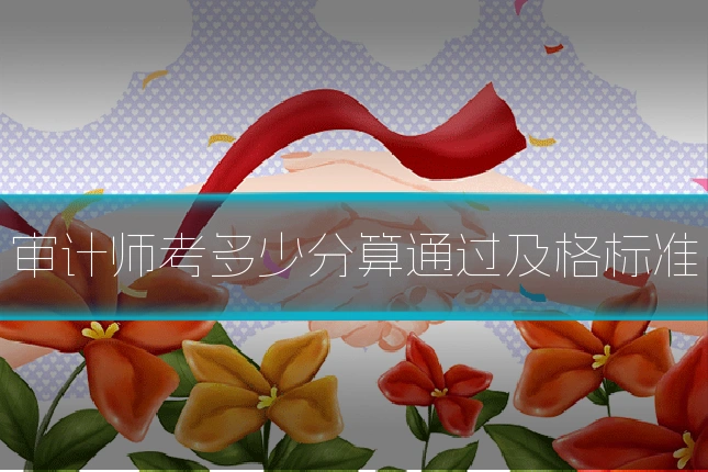 审计师考多少分算通过及格标准