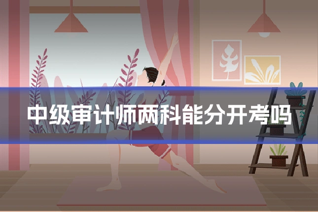 中级审计师两科能分开考吗