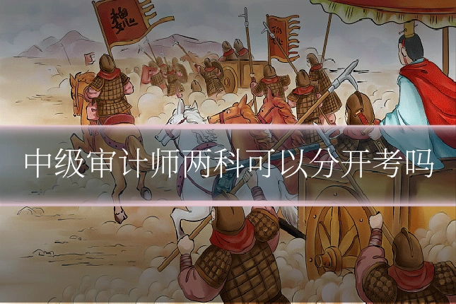 中级审计师两科可以分开考吗