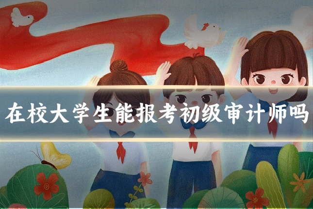 在校大学生能报考初级审计师吗