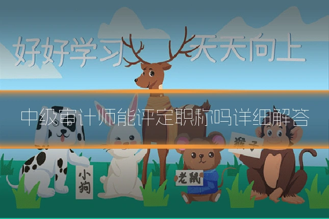 中级审计师能评定职称吗详细解答