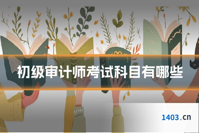 初级审计师考试科目有哪些