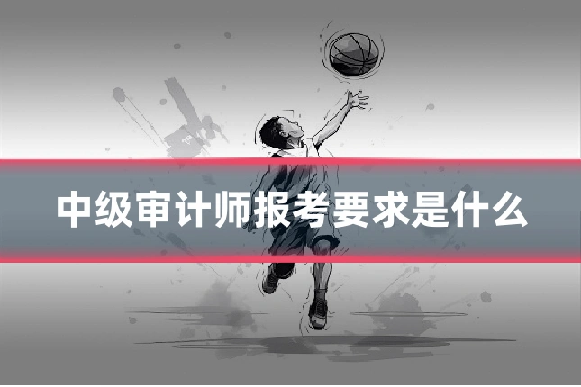 中级审计师报考要求是什么