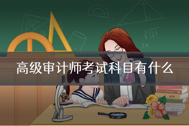 高级审计师考试科目有什么