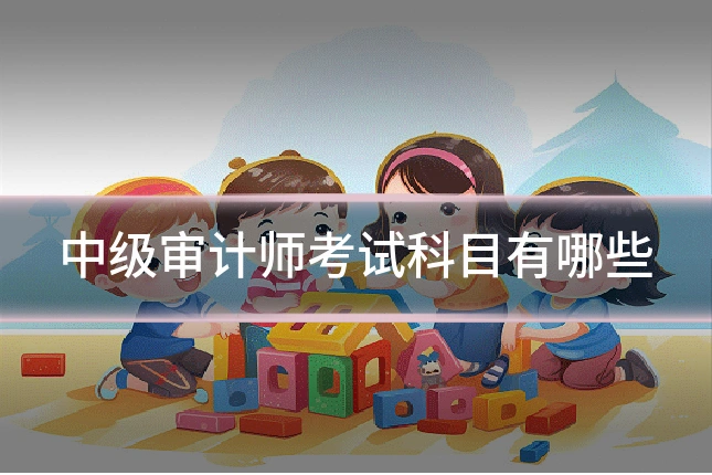 中级审计师考试科目有哪些