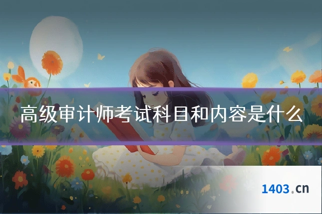 高级审计师考试科目和内容是什么