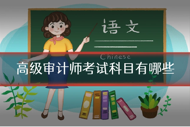 高级审计师考试科目有哪些