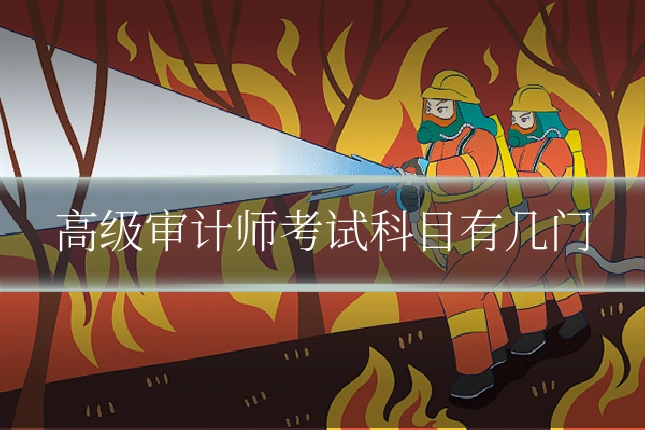 高级审计师考试科目有几门
