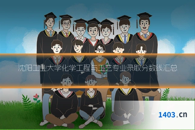 沈阳工业大学化学工程与工艺专业录取分数线汇总
