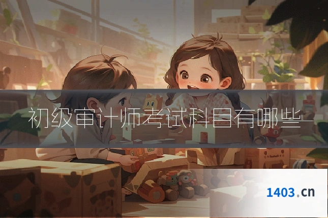初级审计师考试科目有哪些