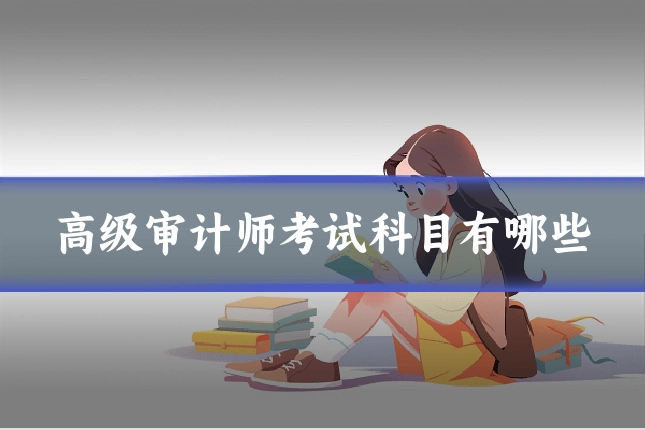高级审计师考试科目有哪些