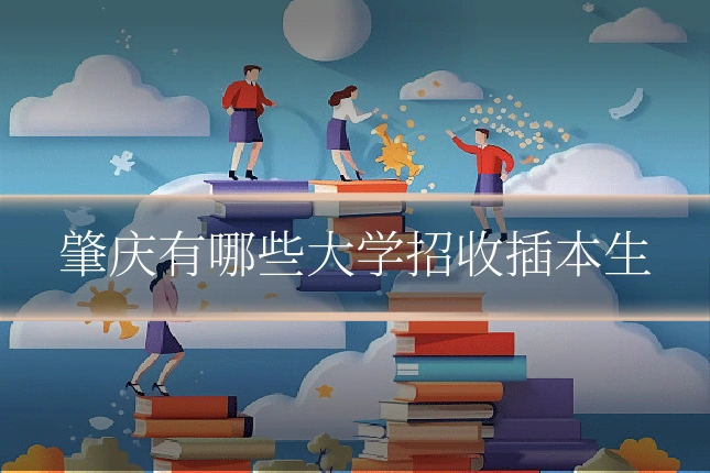 肇庆有哪些大学招收插本生
