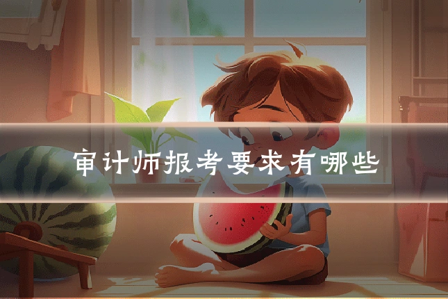 审计师报考要求有哪些