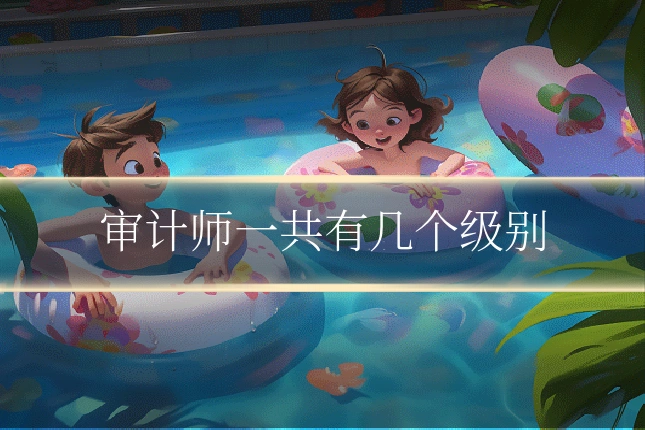 审计师一共有几个级别