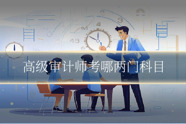 高级审计师考哪两门科目