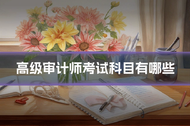 高级审计师考试科目有哪些