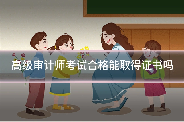 高级审计师考试合格能取得证书吗