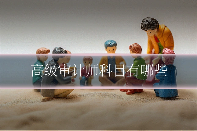 高级审计师科目有哪些