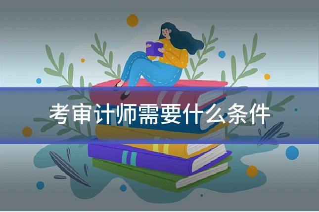 考审计师需要什么条件
