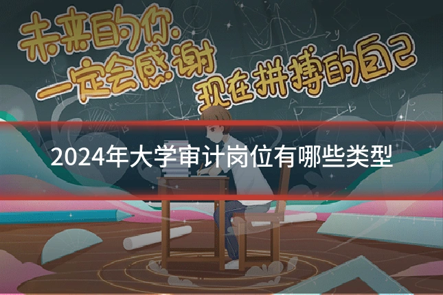 2024年大学审计岗位有哪些类型