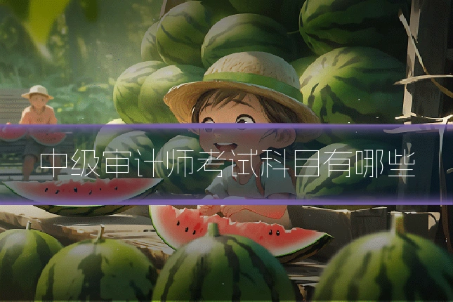 中级审计师考试科目有哪些