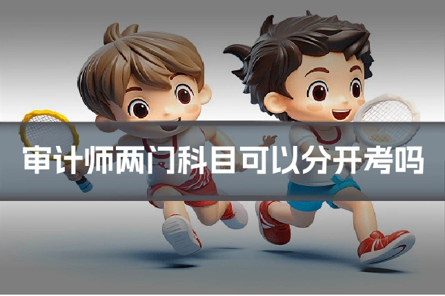 审计师两门科目可以分开考吗