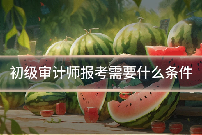 初级审计师报考需要什么条件