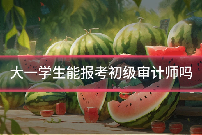 大一学生能报考初级审计师吗
